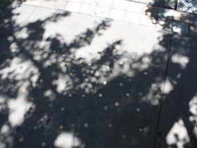 20241231-154431079.JPG