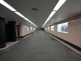 20250809-182409873.JPG