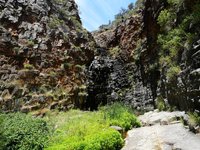Morialta
