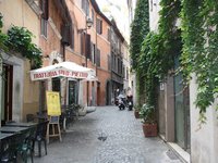 20100926-153531098.JPG