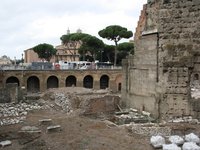 20100927-102812097.JPG